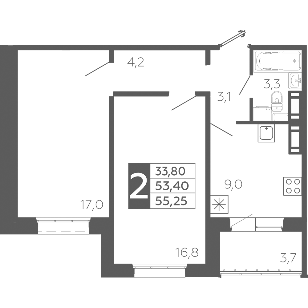 17207989